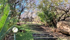 Un sentier qui traverse un jardin agrémenté de marches en bois, entouré de différents arbres et de diverses plantes.