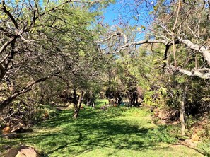 Property grounds - Double Lodge in Natural African Bush - 2112 (Bulawayo)