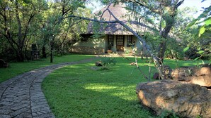 A thatched-roof house with a stone pathway leading to it, surrounded by lush greenery.