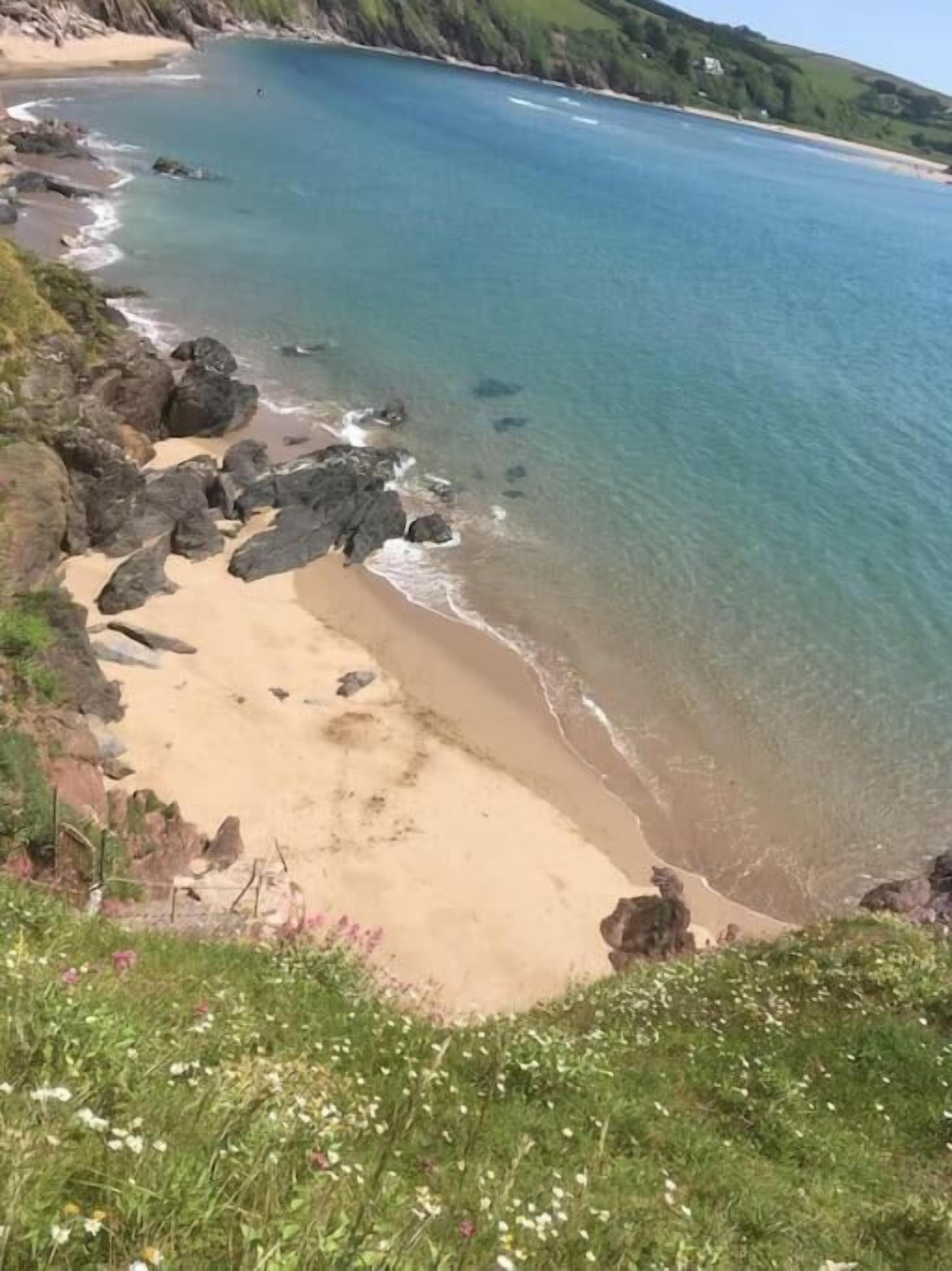 A coastal landscape with a sandy beach, rocky shoreline, and a grassy area with wildflowers.