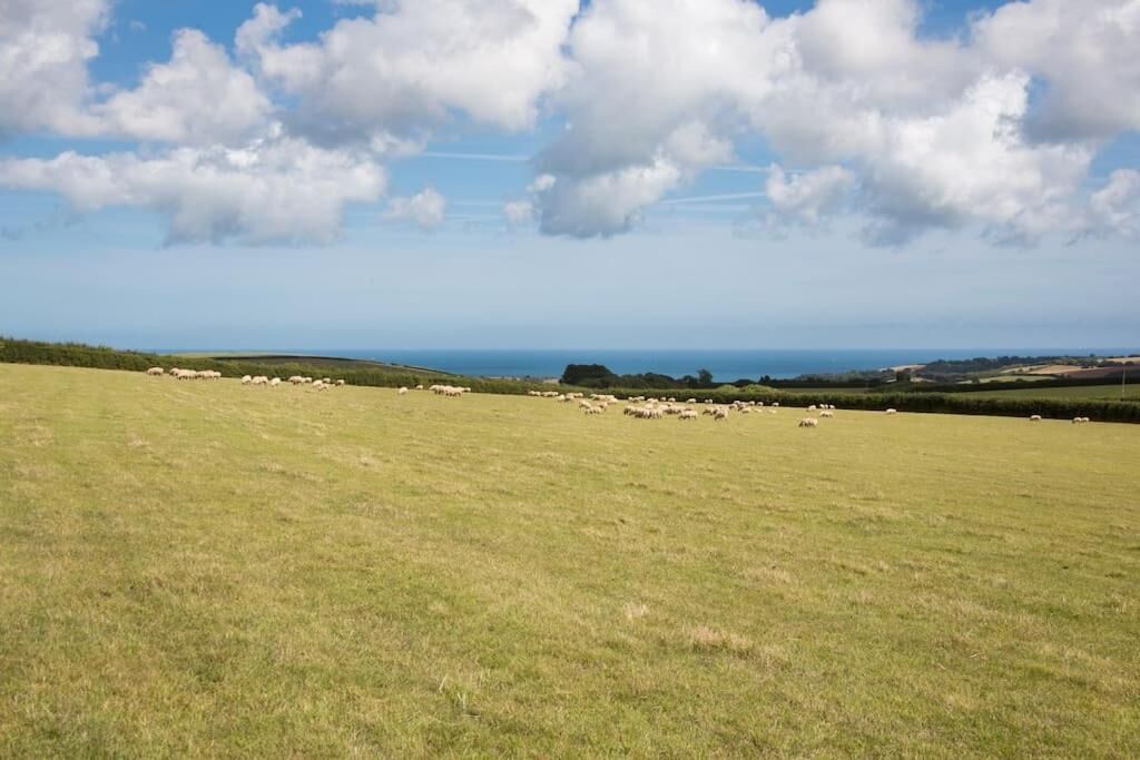 A wide-open grassy field with a distant view of the sea and clouds.