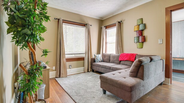 A living room with a grey sofa, a grey rug, a potted plant, and a wooden floor. - Sunny + Spacious Dayton Condo ~ 1 Mi to Downtown! (Dayton)