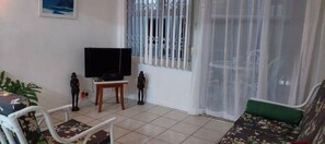Smart TV, books