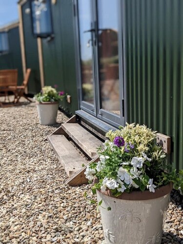 Shepherd's Hut - Nonu