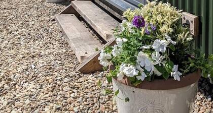 Shepherd's Hut - Nonu