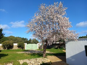 Property grounds - "SA Tanka" Casa Rural con Piscina (Alaior)