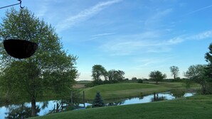 A serene outdoor area with a pond, grassy banks, and trees.