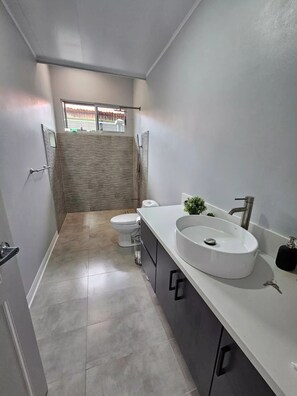 Une salle de bain moderne avec un grand lavabo, des toilettes et une douche.