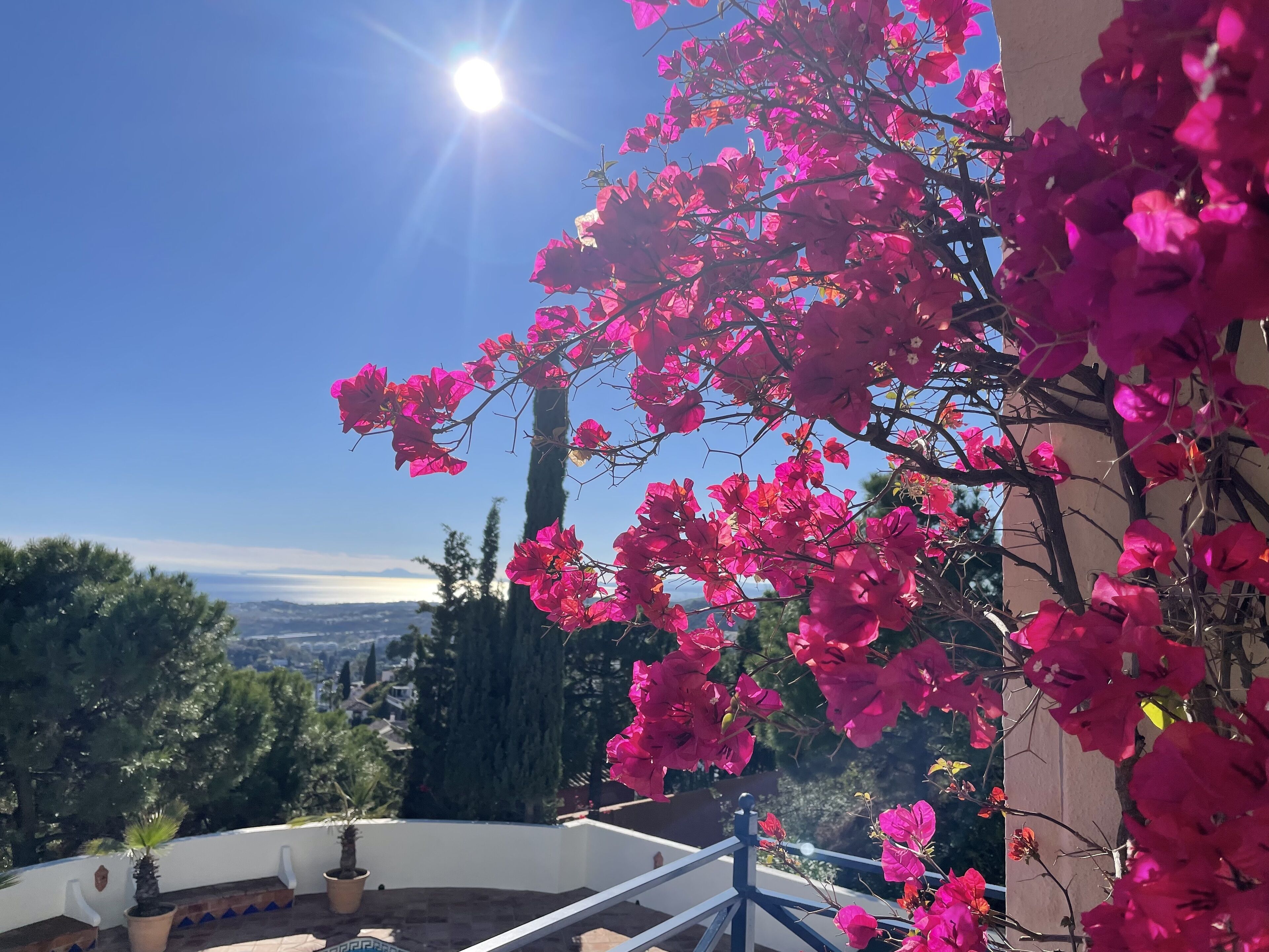 Foto - Boutique Hotel Maravilla - Marbella