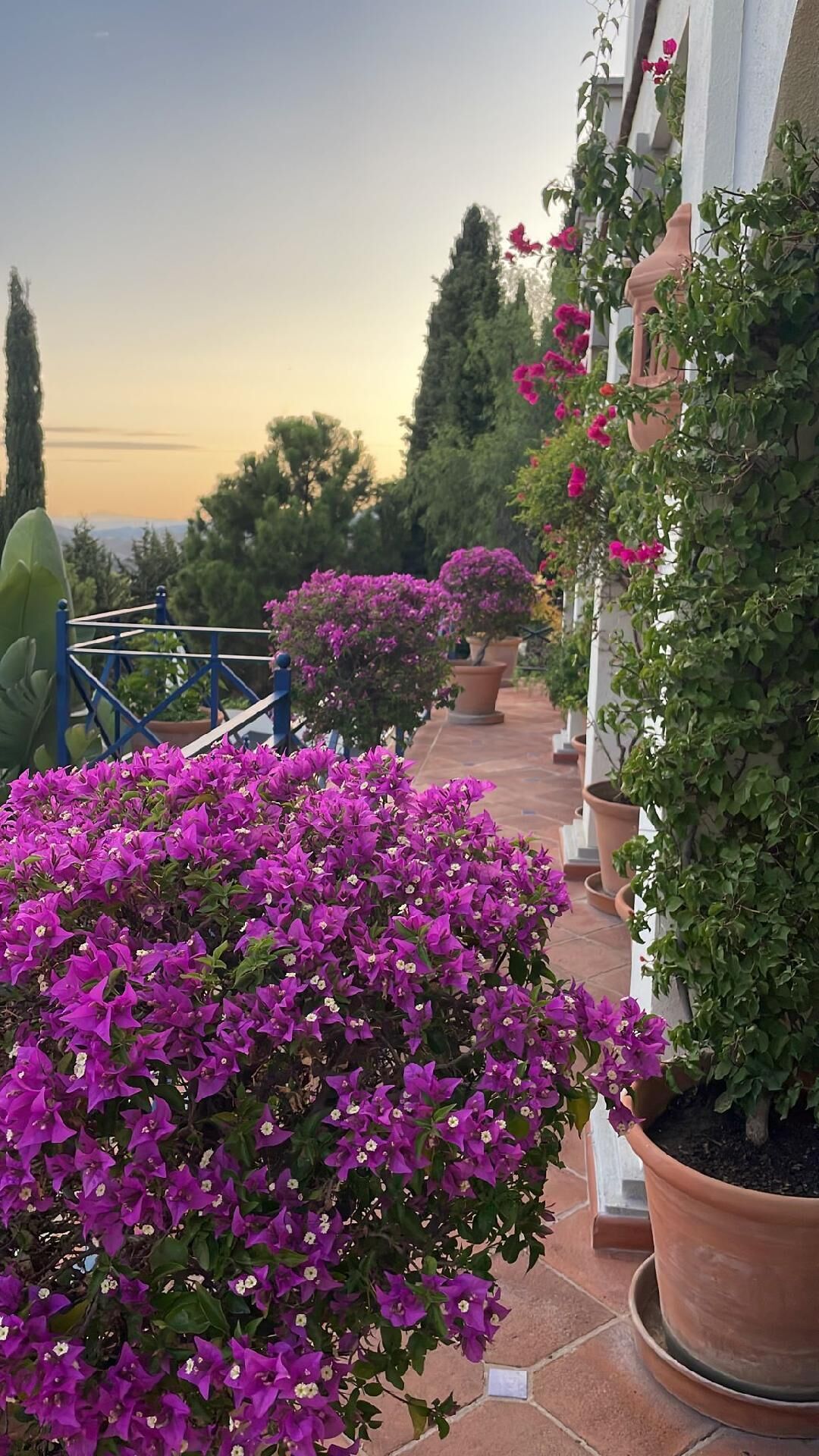 Foto - Boutique Hotel Maravilla - Marbella