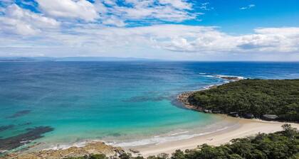 King Stingray – Stay 3 Pay 2