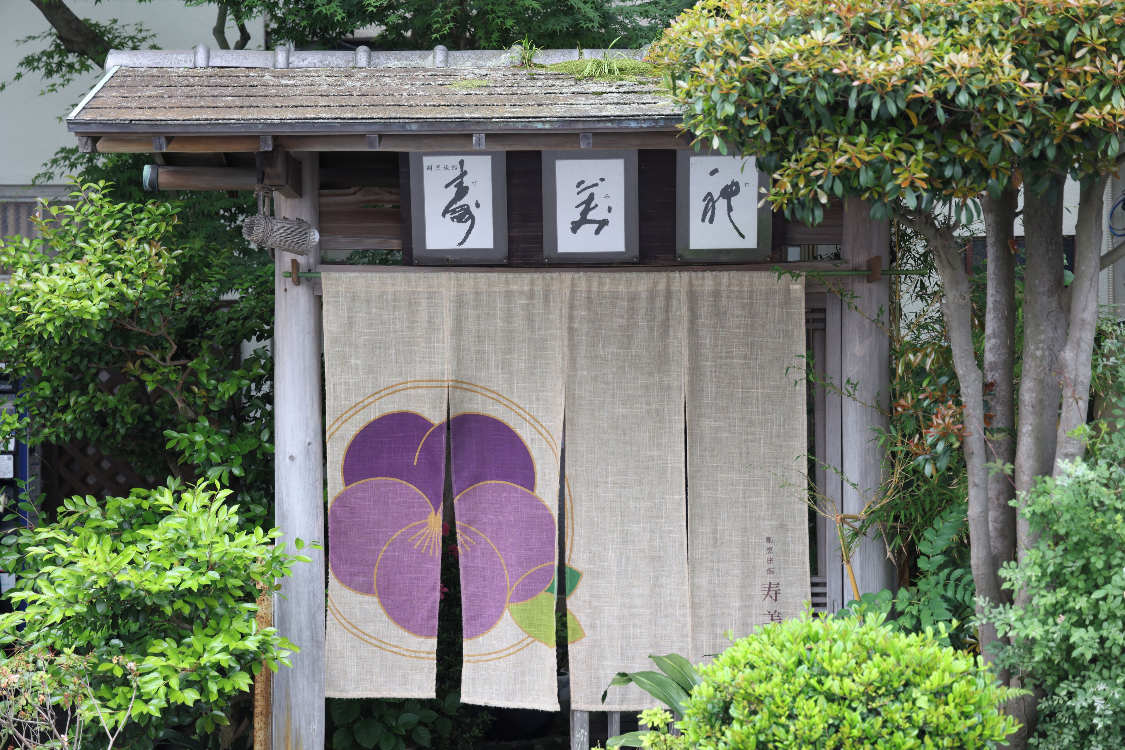 외관