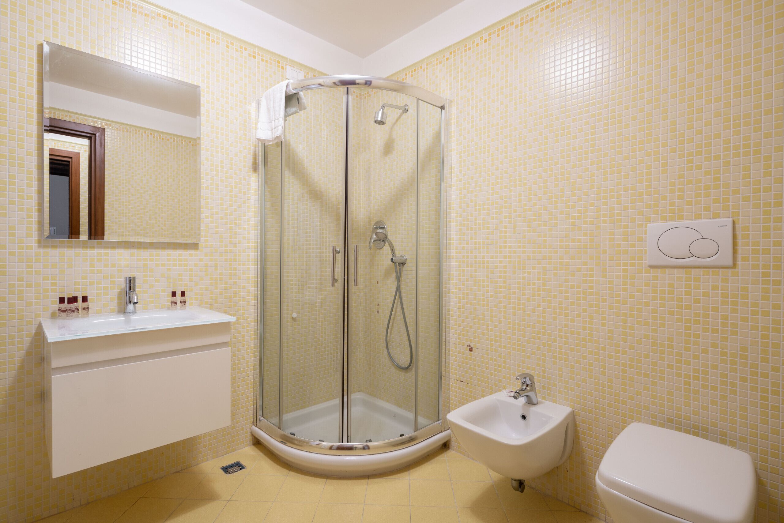 Dusche, Haartrockner, Handtücher, Seife