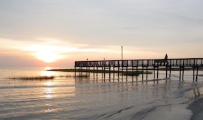 Beach - Enjoy  Fall and Winter on our Nature -filled  Hilton Head Beach Condo  (Hilton Head Island)