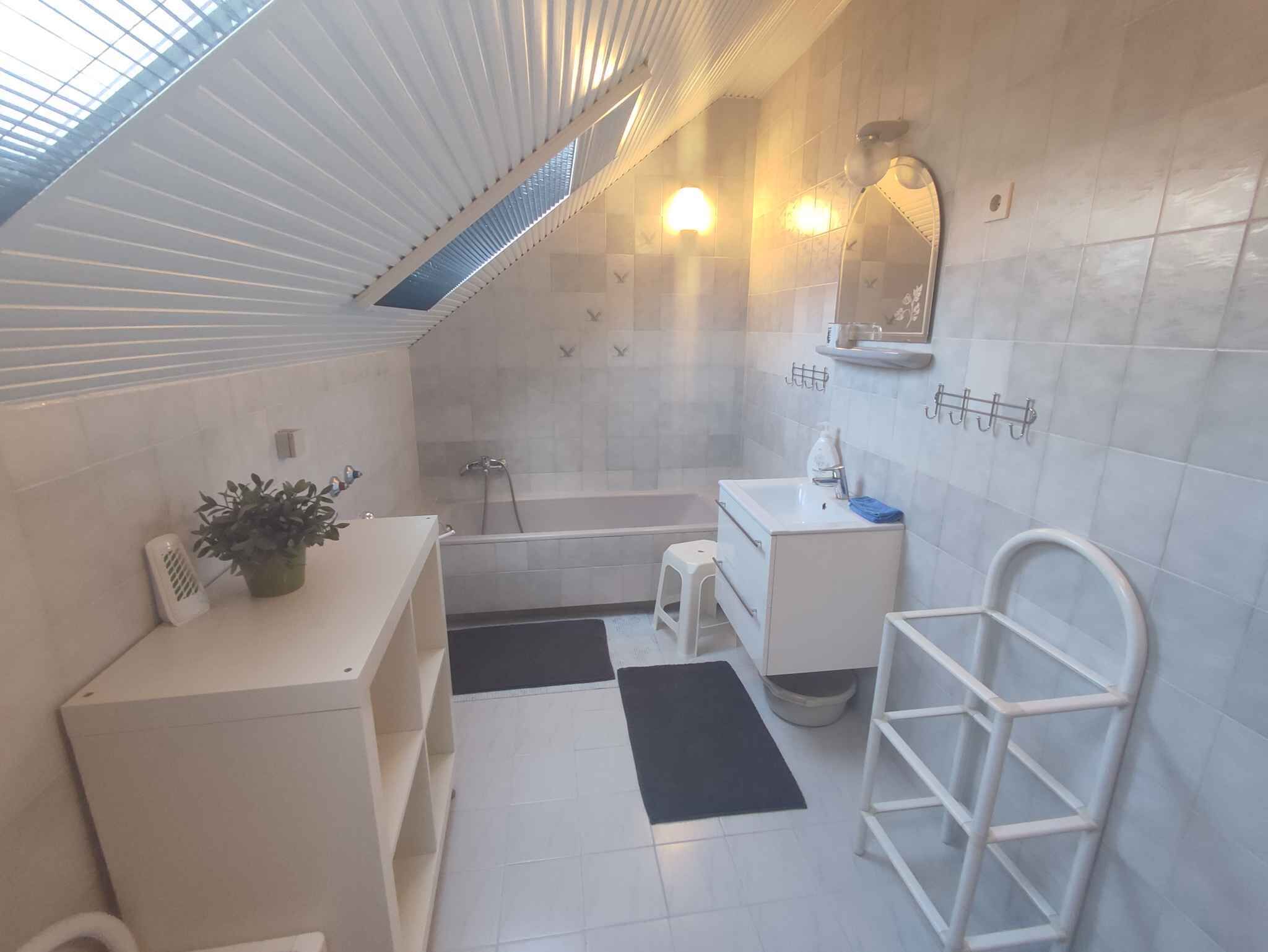 A modern bathroom with a skylight, a bathtub, a sink, and a mirror.