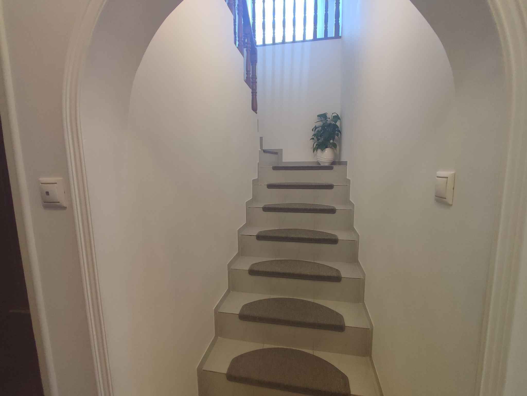 A staircase with a handrail, leading to a landing with a potted plant.