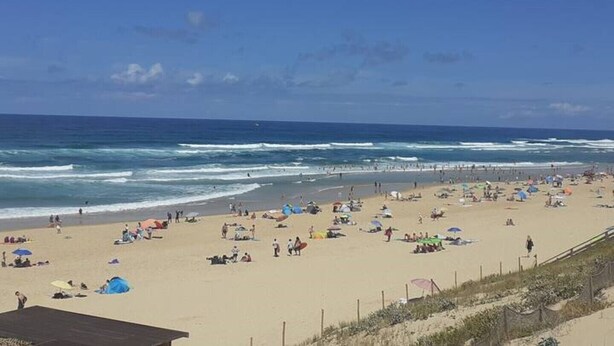 Una spiaggia con persone, tende e ombrelloni.