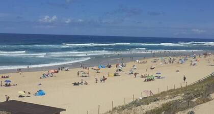Aloha 2 at the Foot of the Dune, Surfing and Hiking