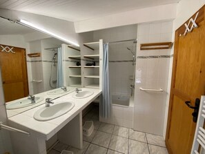 Shower, hair dryer, toilet paper