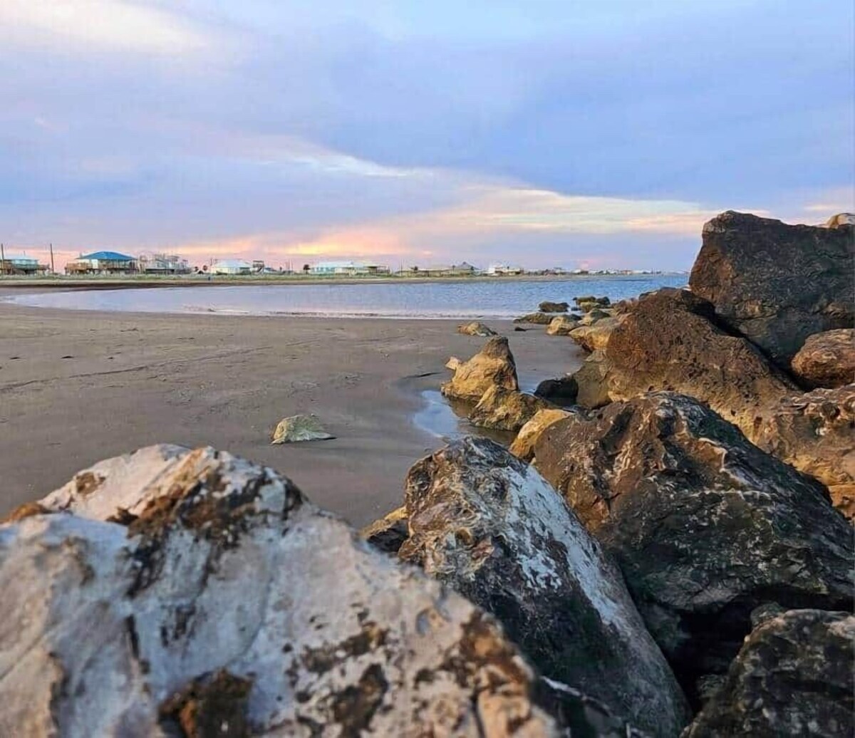 Imagen de perfil del propietario o de la propietaria