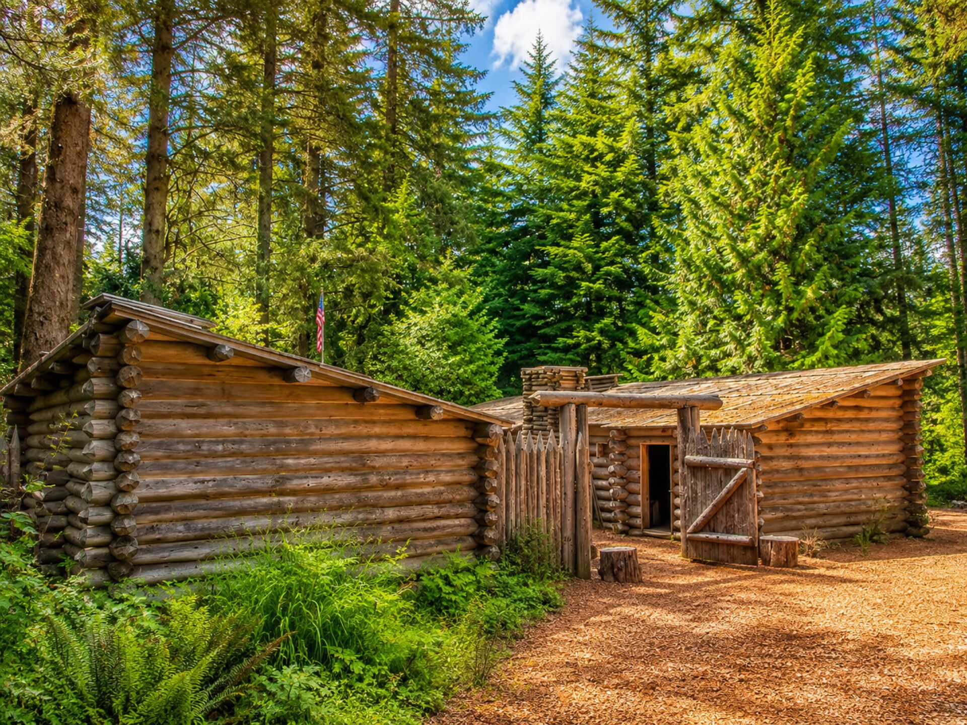A rustic log cabin with a wooden door and a small porch, surrounded by dense forest.