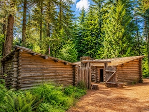A rustic log cabin with a wooden door and a small porch, surrounded by dense forest.