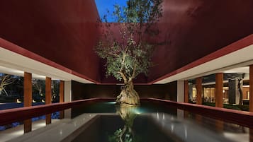Stunning central pool reflects the surrounding architecture and a majestic tree.