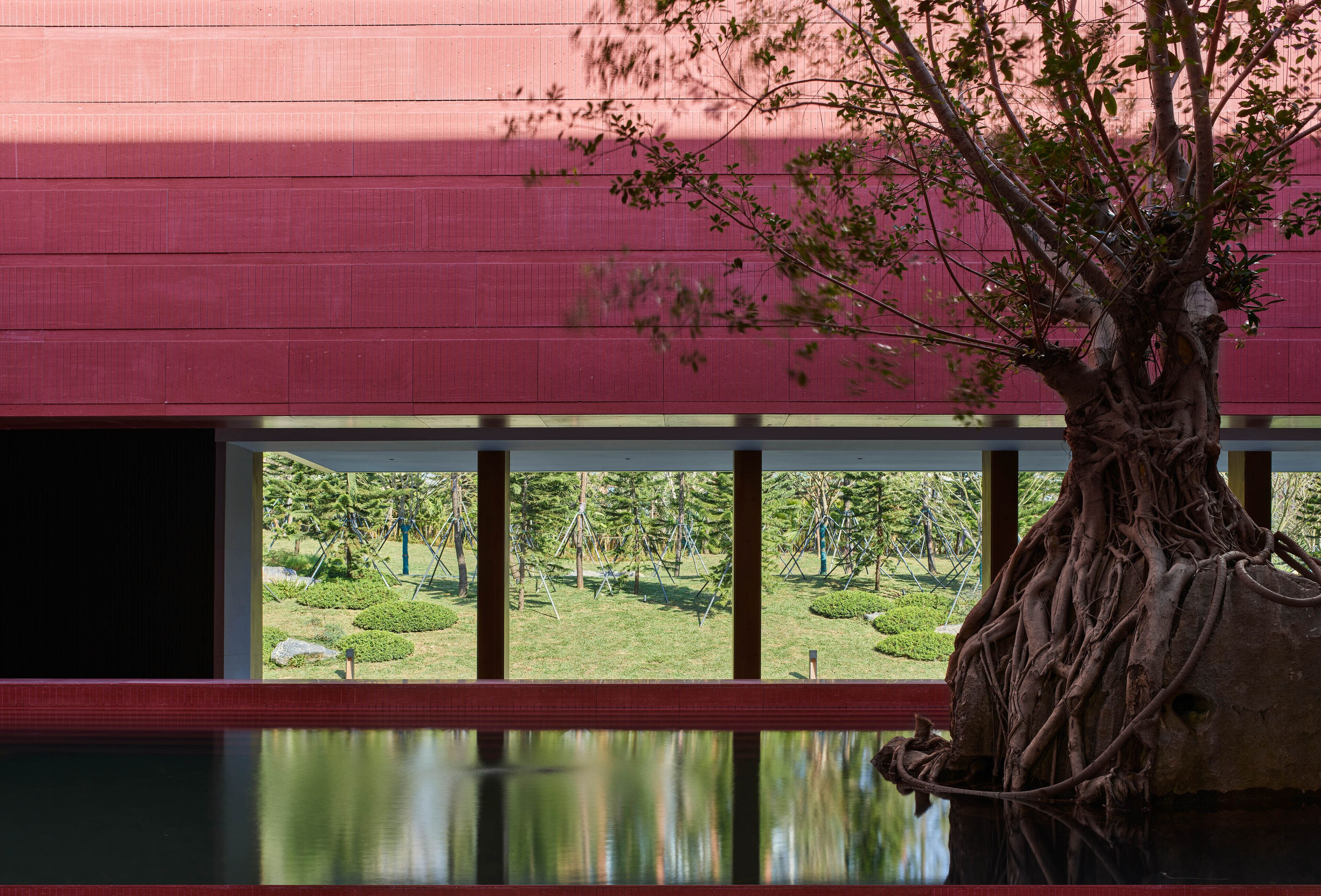 A large indoor tree with extensive roots, a view of a green landscape through large windows, and a red wall.