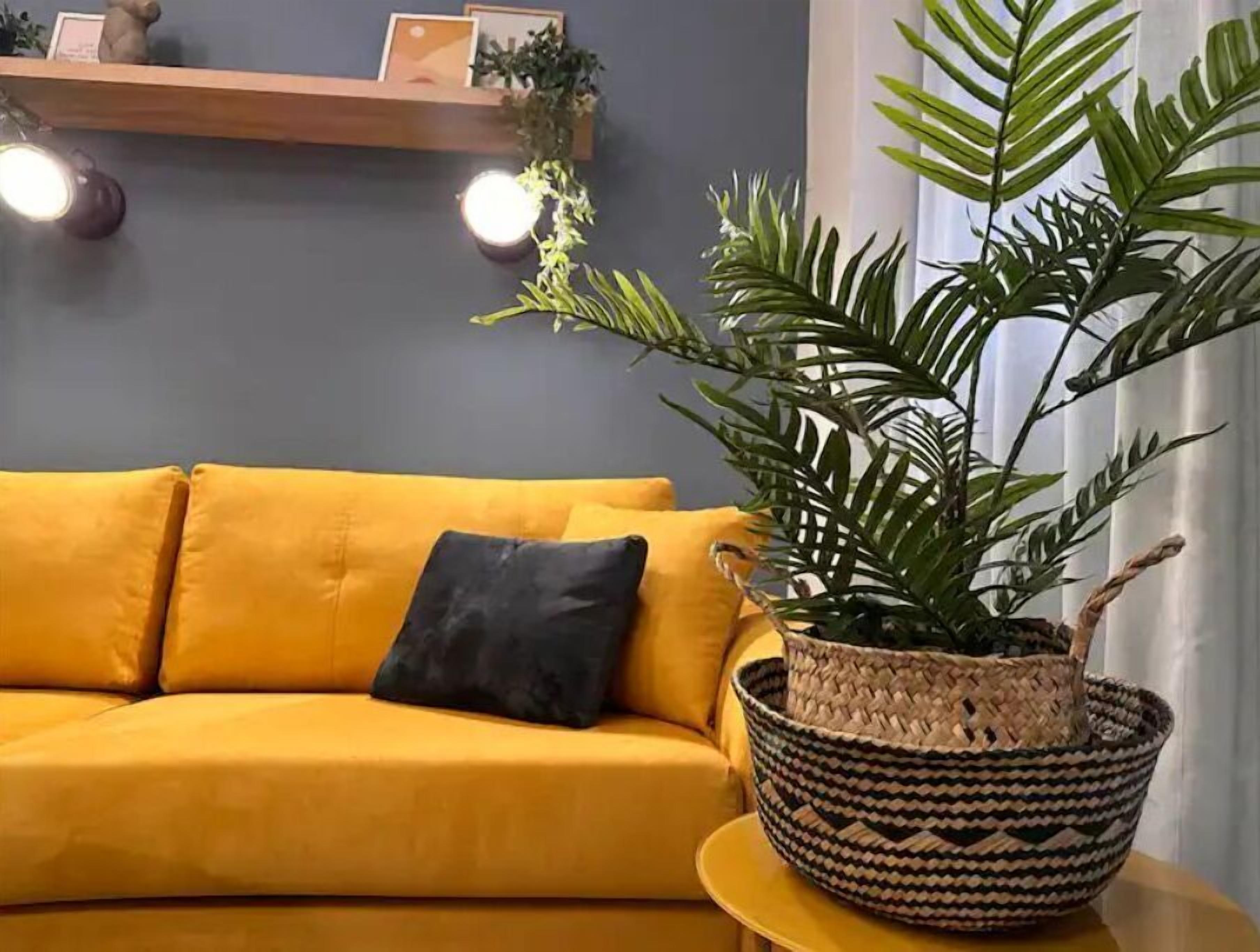 Télévision, espaces bureaux