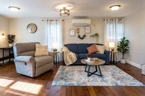 Smart TV, fireplace, books