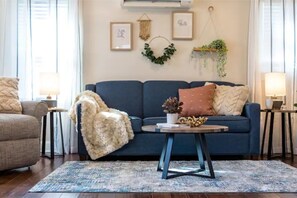 Smart TV, fireplace, books