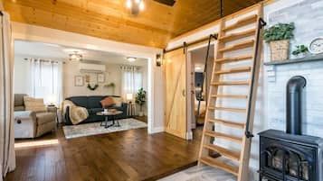 Smart TV, fireplace, books