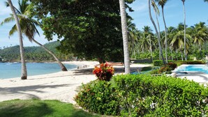 Un resort frente al mar con piscina, palmeras y vistas al océano.