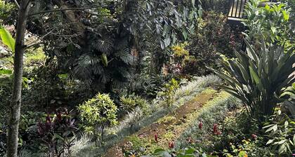 Cabaña Rodeada de Naturaleza en Tambor de Alajuela