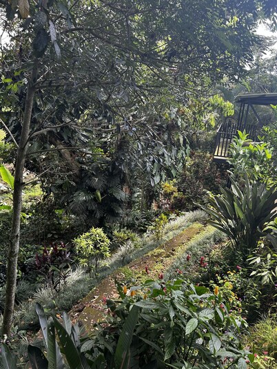 Cabaña Rodeada de Naturaleza en Tambor de Alajuela