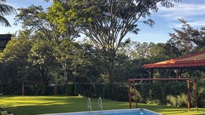 An above-ground swimming pool with a ladder, surrounded by a grassy yard and trees.