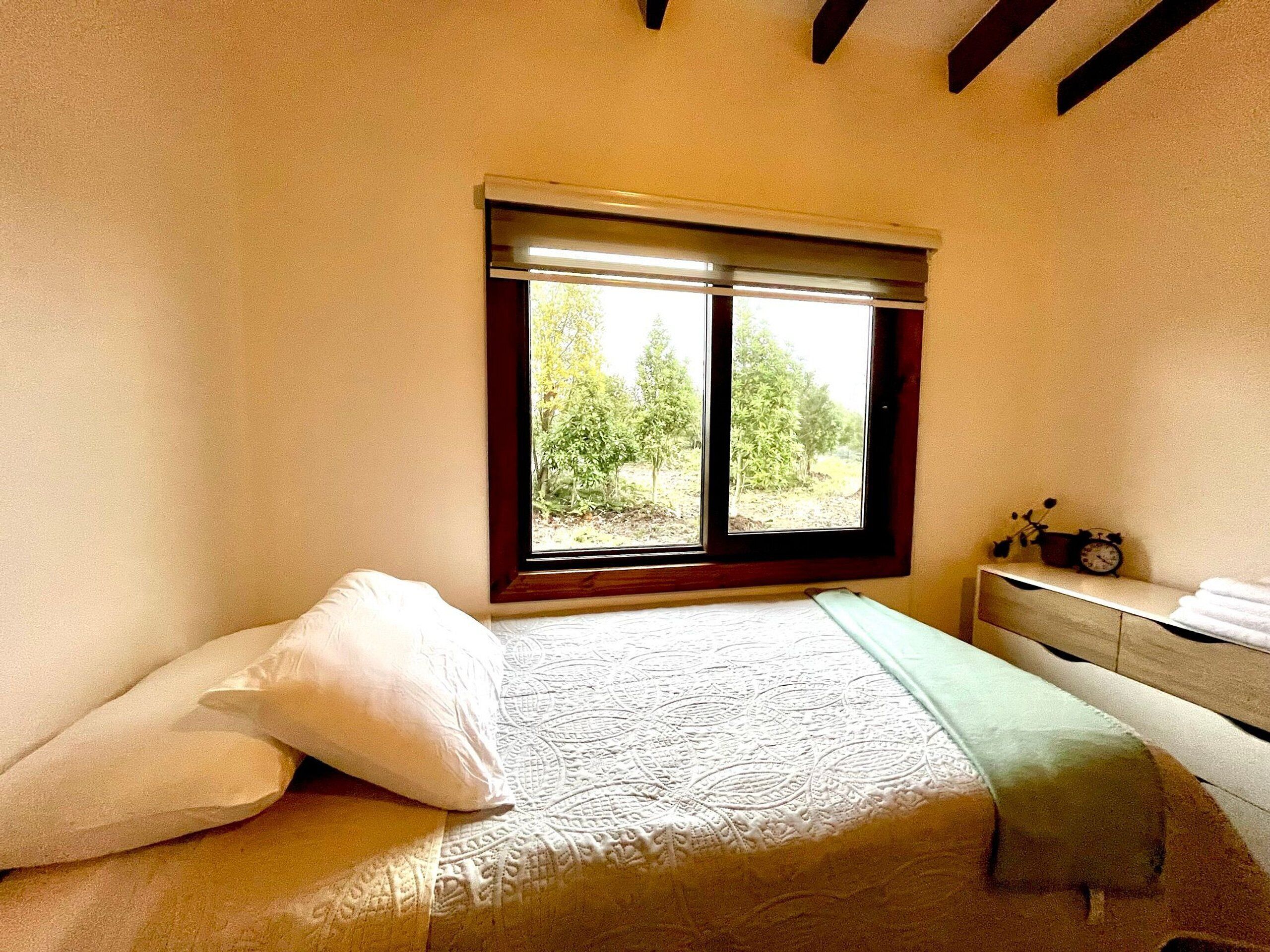 Un dormitorio con cama, almohadas, una mesita de noche, un reloj y una ventana con vistas a árboles.