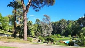 A residential area with a well-maintained lawn, a pathway, and a variety of trees including palm trees.