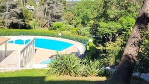 A swimming pool surrounded by lush greenery and trees.