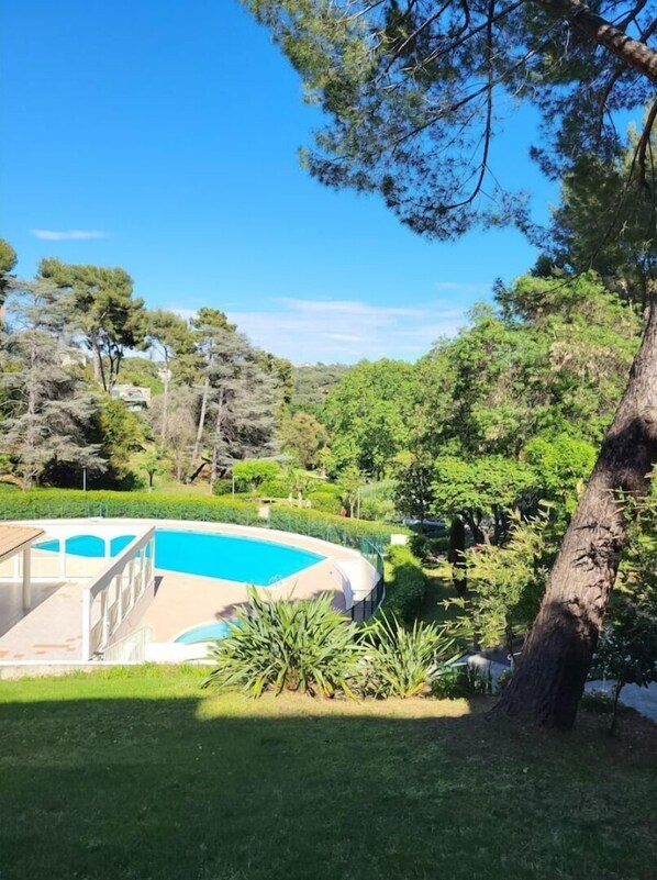 Relax by the serene pool surrounded by lush greenery and mature trees.