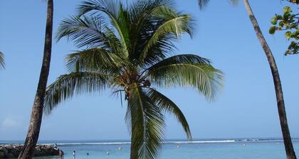 Alizes Bungalows Locations Ă  Sainte Anne Ă  10 mn des Plages et du Centre Ville