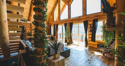 Welcome to the JUNGLE - Log cabine - SPA