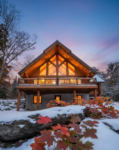 Welcome to the JUNGLE | Log cabine | SPA