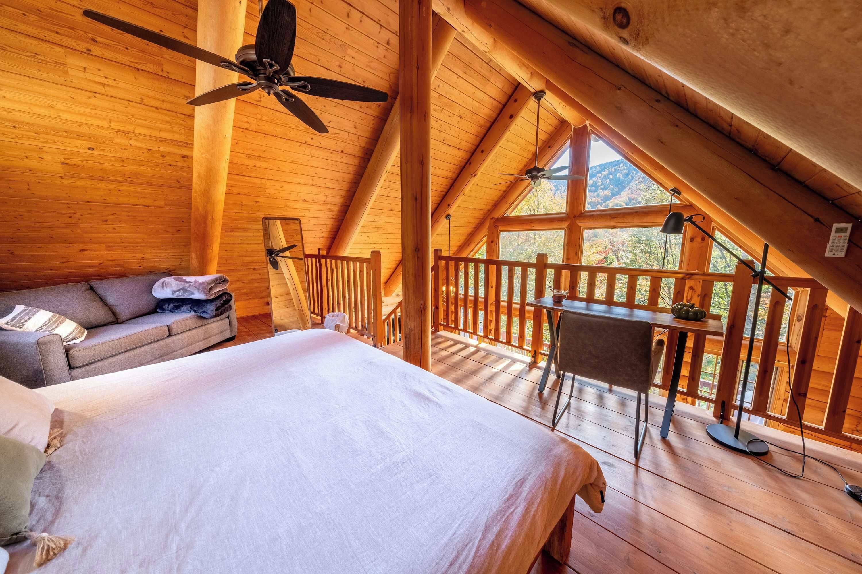 Télévision, cheminée, livres, espaces bureaux