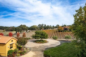 Property grounds - Villa Valentina: Situated on 3.5 picturesque wine country acres surrounded by vineyards (Santa Rosa)