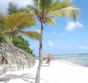 Playa