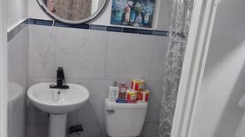 A bathroom with a pedestal sink, a toilet, and a mirror.