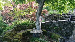 A stone wall with moss-covered rocks and a tree in the center. - La Bergerie: Gîte Familial et Chaleureux Dans le Parc National des Cévennes (MALONS-ET-ELZE)