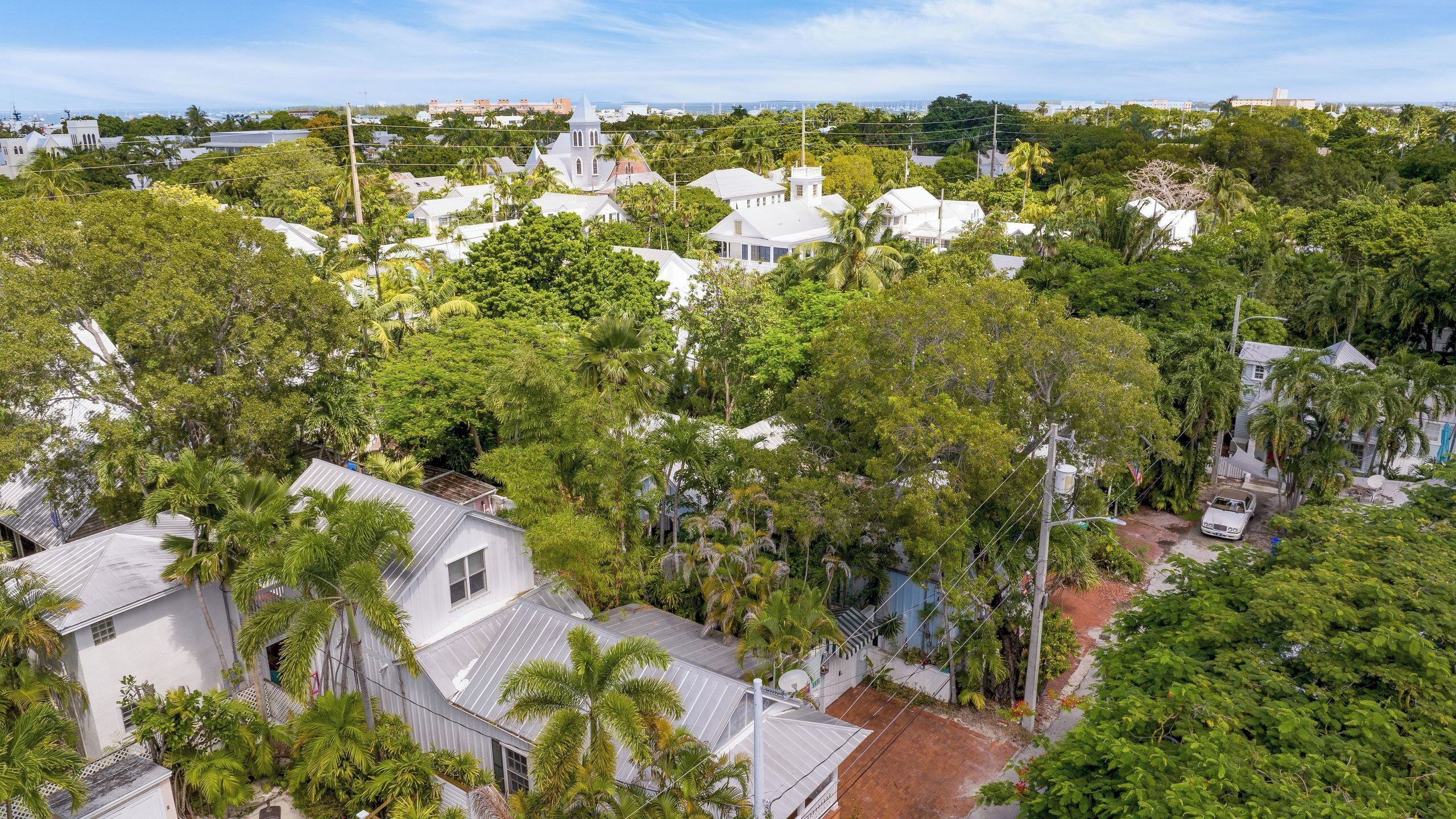 A residential area with white houses surrounded by lush greenery and palm trees.