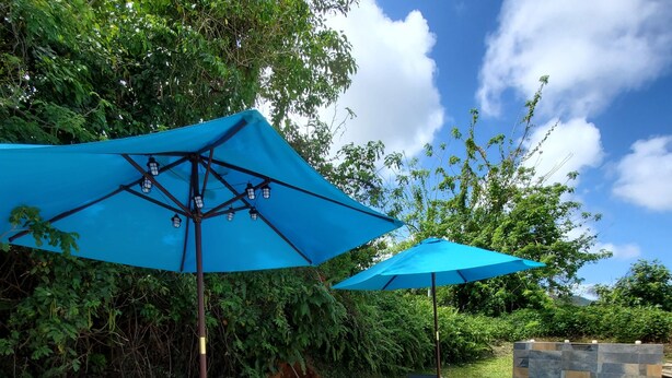 A poolside area with lounge chairs and blue umbrellas, surrounded by greenery. - Casa Bird Cage in Fajardo's Paradise, a rainforest like retreat! (fajardo)